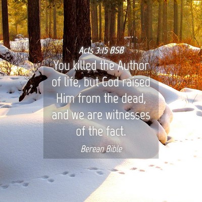 Picture 04 - Acts 3:15 BSB - You killed the Author of life, but God raised Him - Bible Verse Picture