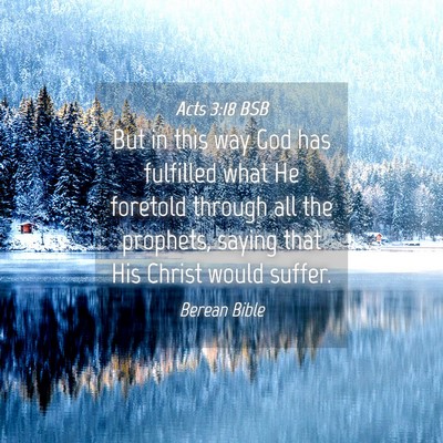 Picture 04 - Acts 3:18 BSB - But in this way God has fulfilled what He - Bible Verse Picture