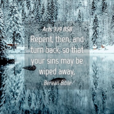Picture 04 - Acts 3:19 BSB - Repent, then, and turn back, so that your sins - Bible Verse Picture
