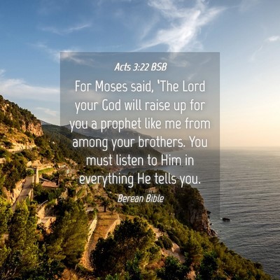 Picture 04 - Acts 3:22 BSB - For Moses said, ‘The Lord your God will raise - Bible Verse Picture