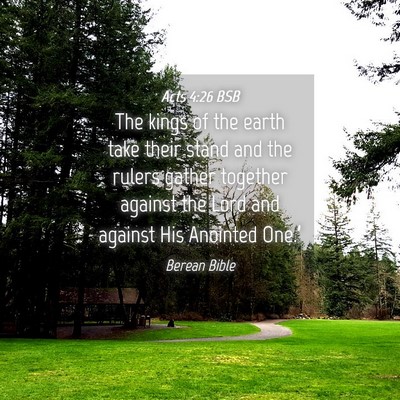 Picture 04 - Acts 4:26 BSB - The kings of the earth take their stand and the - Bible Verse Picture