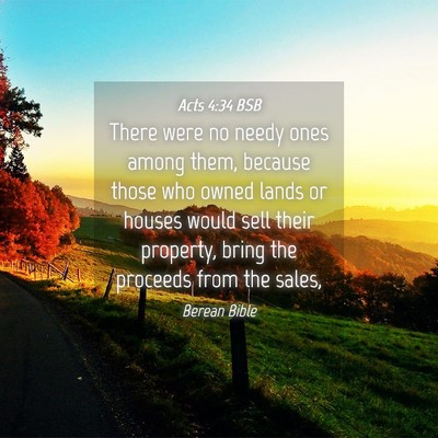 Picture 04 - Acts 4:34 BSB - There were no needy ones among them, because - Bible Verse Picture