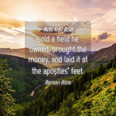 Picture 04 - Acts 4:37 BSB - sold a field he owned, brought the money, and - Bible Verse Picture