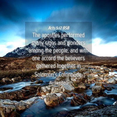 Picture 04 - Acts 5:12 BSB - The apostles performed many signs and wonders - Bible Verse Picture
