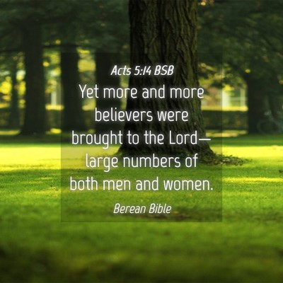 Picture 04 - Acts 5:14 BSB - Yet more and more believers were brought to the - Bible Verse Picture