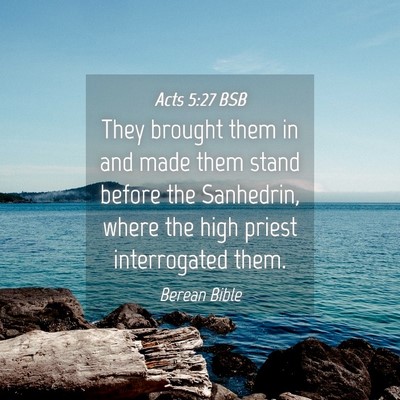 Picture 04 - Acts 5:27 BSB - They brought them in and made them stand before - Bible Verse Picture
