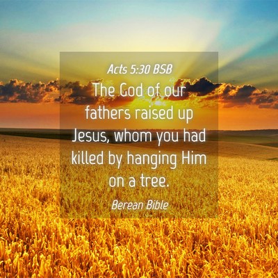 Picture 04 - Acts 5:30 BSB - The God of our fathers raised up Jesus, whom you - Bible Verse Picture