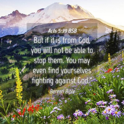 Picture 04 - Acts 5:39 BSB - But if it is from God, you will not be able to - Bible Verse Picture
