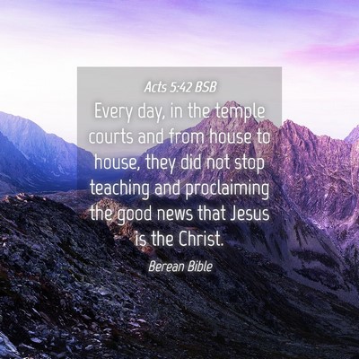 Picture 04 - Acts 5:42 BSB - Every day, in the temple courts and from house to - Bible Verse Picture