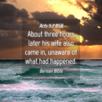 Picture 04 - Acts 5:7 BSB - About three hours later his wife also came in, - Bible Verse Picture