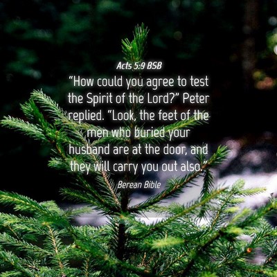 Picture 04 - Acts 5:9 BSB - “How could you agree to test the Spirit of the - Bible Verse Picture
