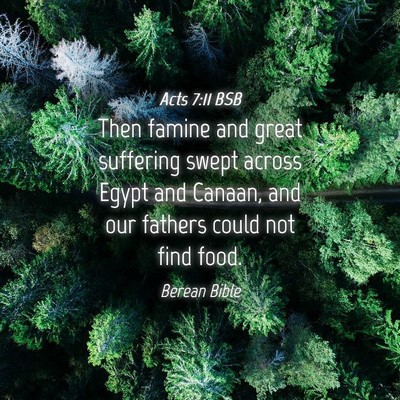 Picture 04 - Acts 7:11 BSB - Then famine and great suffering swept across - Bible Verse Picture