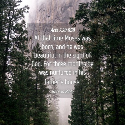 Picture 04 - Acts 7:20 BSB - At that time Moses was born, and he was beautiful - Bible Verse Picture