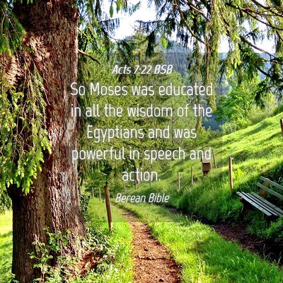 Picture 04 - Acts 7:22 BSB - So Moses was educated in all the wisdom of the - Bible Verse Picture