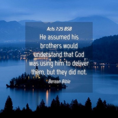 Picture 04 - Acts 7:25 BSB - He assumed his brothers would understand that God - Bible Verse Picture