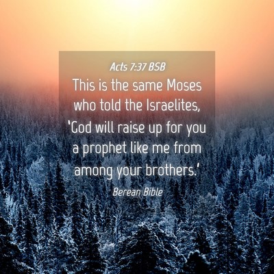 Picture 04 - Acts 7:37 BSB - This is the same Moses who told the Israelites, - Bible Verse Picture