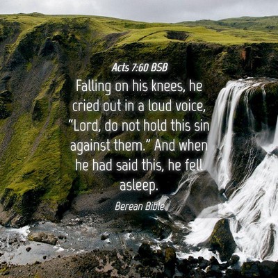 Picture 04 - Acts 7:60 BSB - Falling on his knees, he cried out in a loud - Bible Verse Picture