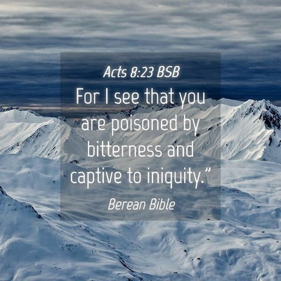 Picture 04 - Acts 8:23 BSB - For I see that you are poisoned by bitterness and - Bible Verse Picture