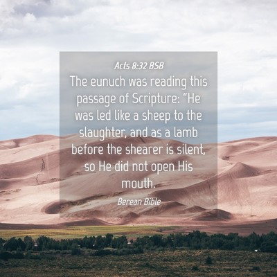 Picture 04 - Acts 8:32 BSB - The eunuch was reading this passage of Scripture: - Bible Verse Picture