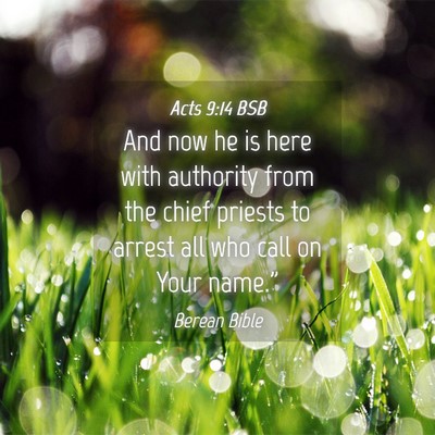 Picture 04 - Acts 9:14 BSB - And now he is here with authority from the chief - Bible Verse Picture