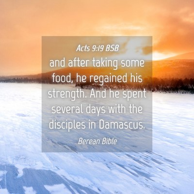Picture 04 - Acts 9:19 BSB - and after taking some food, he regained his - Bible Verse Picture