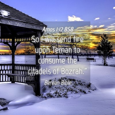 Picture 04 - Amos 1:12 BSB - So I will send fire upon Teman to consume the - Bible Verse Picture