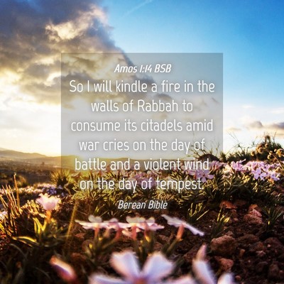 Picture 04 - Amos 1:14 BSB - So I will kindle a fire in the walls of Rabbah to - Bible Verse Picture