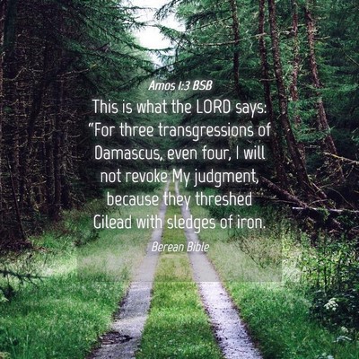 Picture 04 - Amos 1:3 BSB - This is what the LORD says: “For three - Bible Verse Picture
