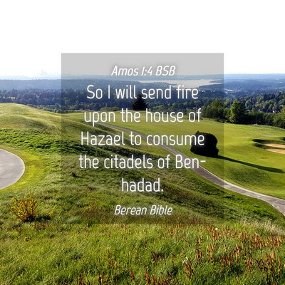 Picture 04 - Amos 1:4 BSB - So I will send fire upon the house of Hazael to - Bible Verse Picture