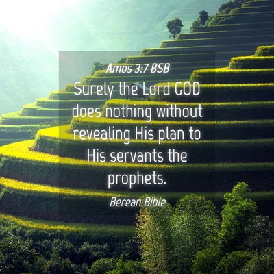 Picture 04 - Amos 3:7 BSB - Surely the Lord GOD does nothing without - Bible Verse Picture
