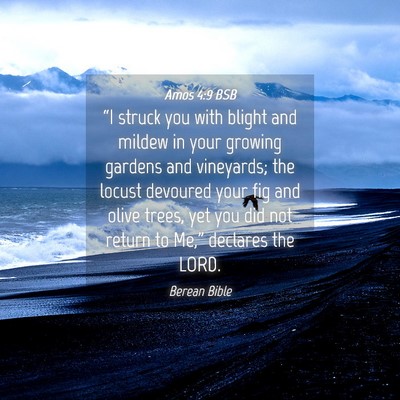 Picture 04 - Amos 4:9 BSB - “I struck you with blight and mildew in your - Bible Verse Picture