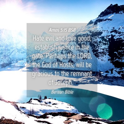 Picture 04 - Amos 5:15 BSB - Hate evil and love good; establish justice in the - Bible Verse Picture
