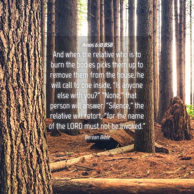 Picture 04 - Amos 6:10 BSB - And when the relative who is to burn the bodies - Bible Verse Picture