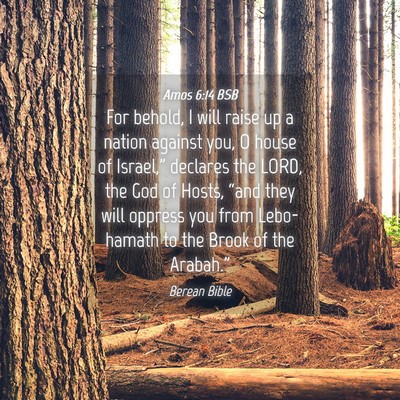Picture 04 - Amos 6:14 BSB - For behold, I will raise up a nation against you, - Bible Verse Picture