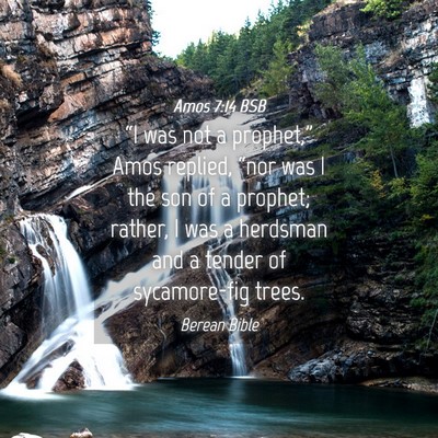 Picture 04 - Amos 7:14 BSB - “I was not a prophet,” Amos replied, “nor - Bible Verse Picture