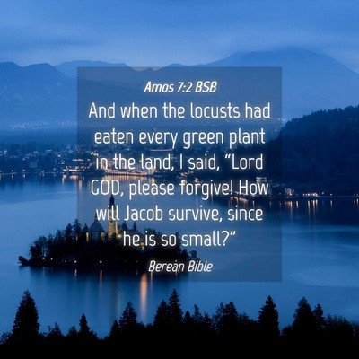 Picture 04 - Amos 7:2 BSB - And when the locusts had eaten every green plant - Bible Verse Picture