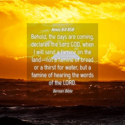 Picture 04 - Amos 8:11 BSB - Behold, the days are coming, declares the Lord - Bible Verse Picture