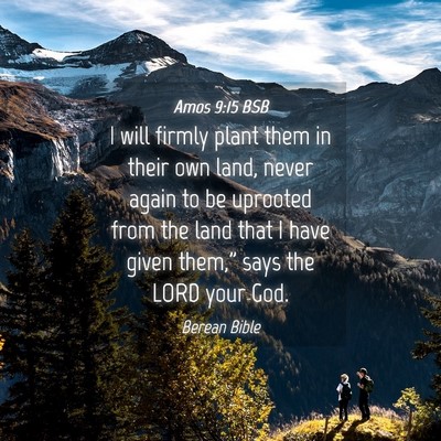 Picture 04 - Amos 9:15 BSB - I will firmly plant them in their own land, never - Bible Verse Picture