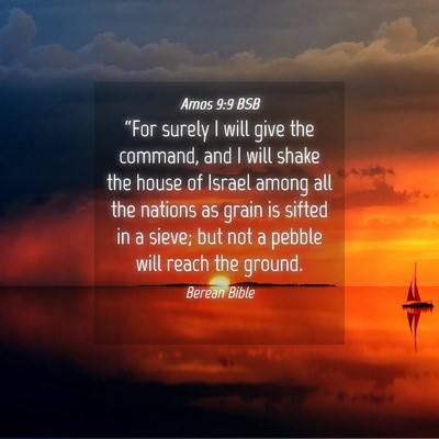 Picture 04 - Amos 9:9 BSB - “For surely I will give the command, and I will - Bible Verse Picture
