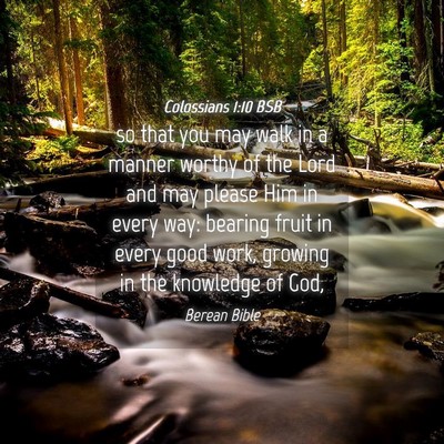 Picture 04 - Colossians 1:10 BSB - so that you may walk in a manner worthy of the - Bible Verse Picture