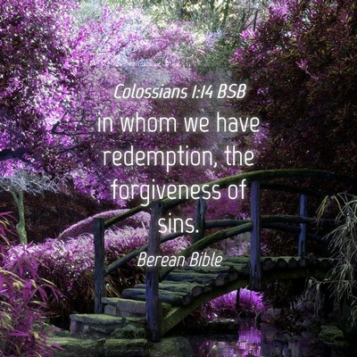 Picture 04 - Colossians 1:14 BSB - in whom we have redemption, the forgiveness of - Bible Verse Picture