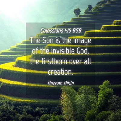 Picture 04 - Colossians 1:15 BSB - The Son is the image of the invisible God, the - Bible Verse Picture