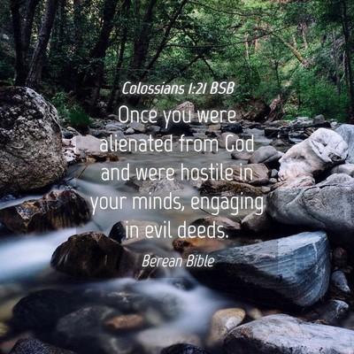 Picture 04 - Colossians 1:21 BSB - Once you were alienated from God and were hostile - Bible Verse Picture