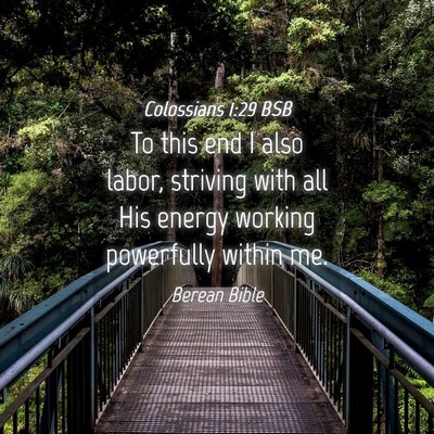 Picture 04 - Colossians 1:29 BSB - To this end I also labor, striving with all His - Bible Verse Picture