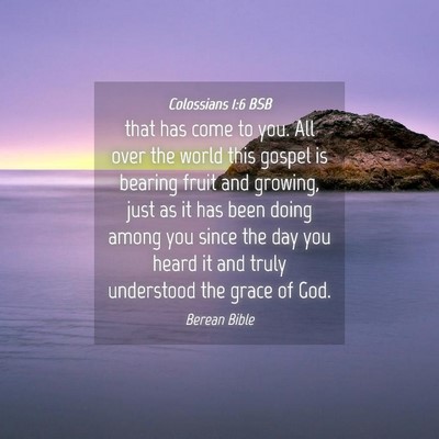 Picture 04 - Colossians 1:6 BSB - that has come to you. All over the world this - Bible Verse Picture