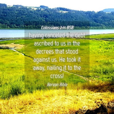 Picture 04 - Colossians 2:14 BSB - having canceled the debt ascribed to us in the - Bible Verse Picture