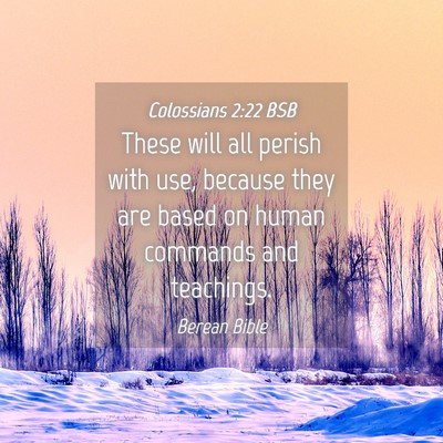Picture 04 - Colossians 2:22 BSB - These will all perish with use, because they are - Bible Verse Picture