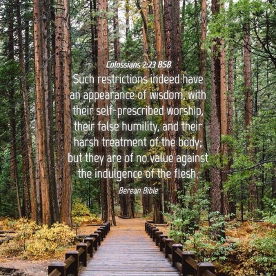 Picture 04 - Colossians 2:23 BSB - Such restrictions indeed have an appearance of - Bible Verse Picture