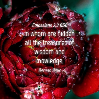 Picture 04 - Colossians 2:3 BSB - in whom are hidden all the treasures of wisdom - Bible Verse Picture