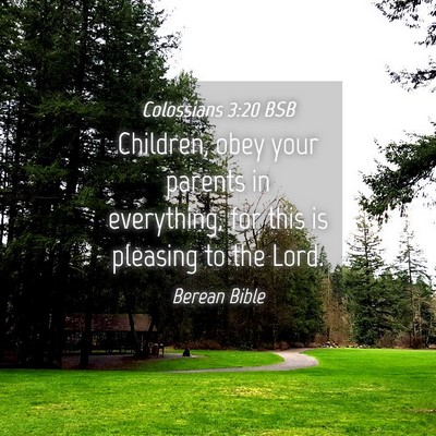 Picture 04 - Colossians 3:20 BSB - Children, obey your parents in everything, for - Bible Verse Picture
